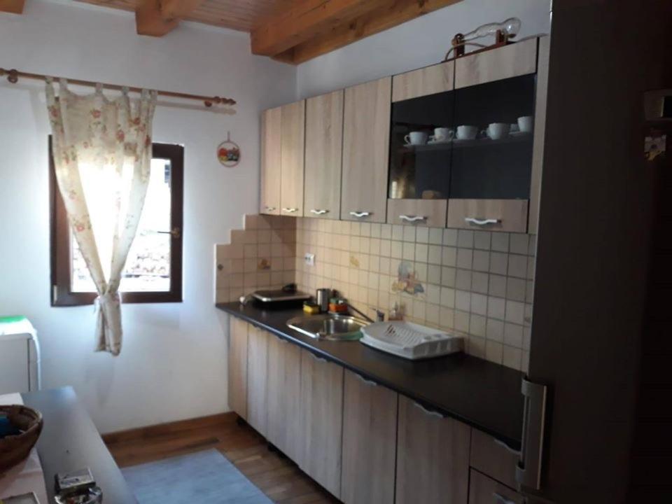 Casuta Din Poiana Rau Sadului Villa Dış mekan fotoğraf