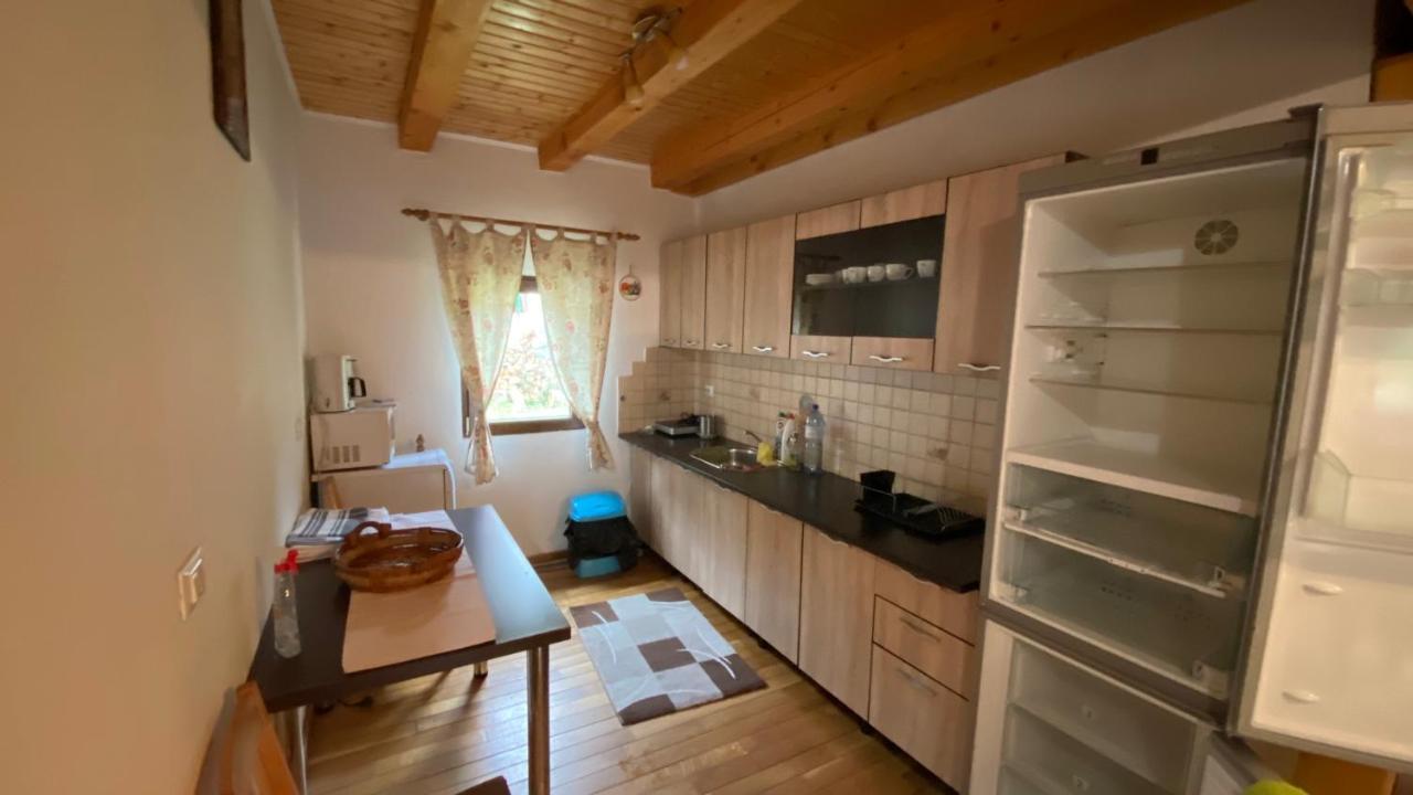 Casuta Din Poiana Rau Sadului Villa Dış mekan fotoğraf